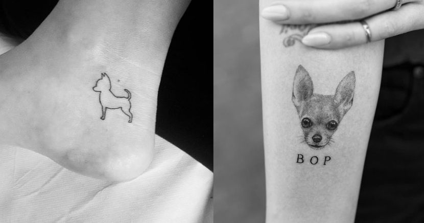 Tatuajes de Chihuahua Una Declaración de Amor Canino