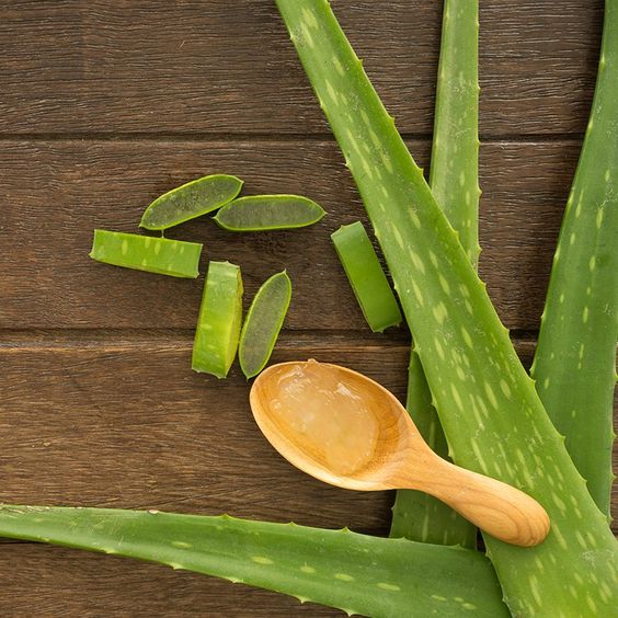 remedios caseros para las ojeras - Aloe vera