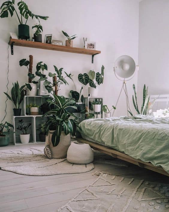 Pastel aesthetic: Ideas para decorar tu habitación - Tema de plantas