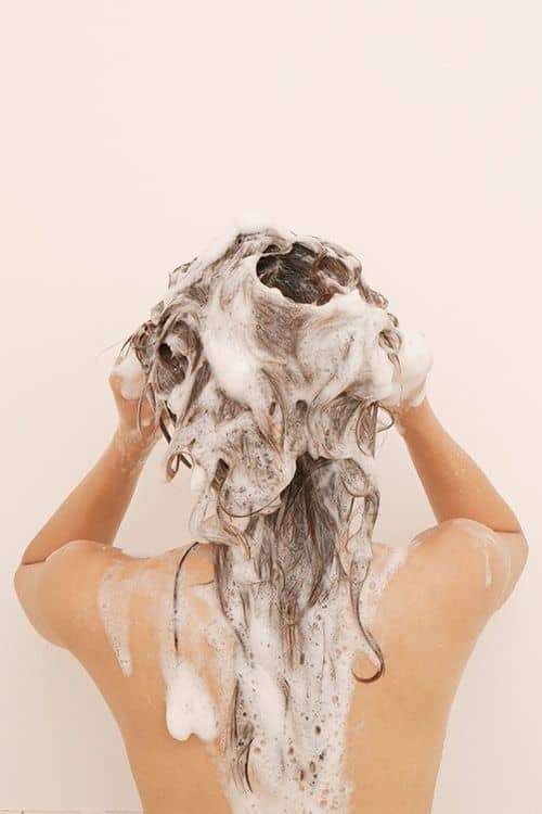 Cómo hacer shampoo casero de sábila - ¿Por qué sábila?